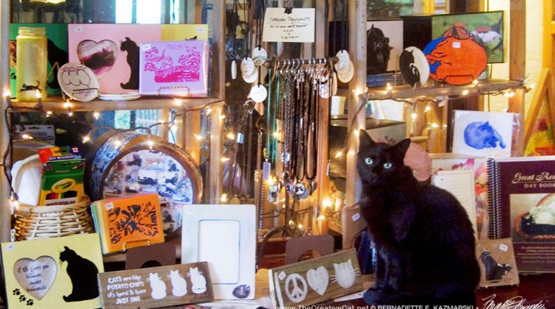 black cat in gift display