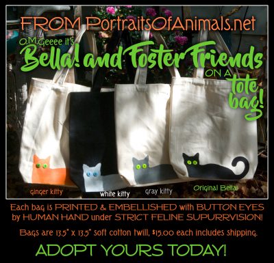 Bella and Foster Friends Tote Bags!