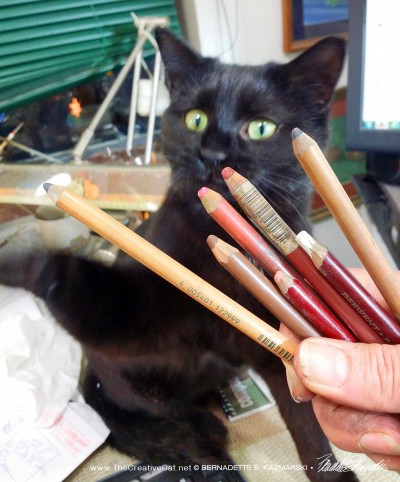 Which pencil should I choose, Bella?