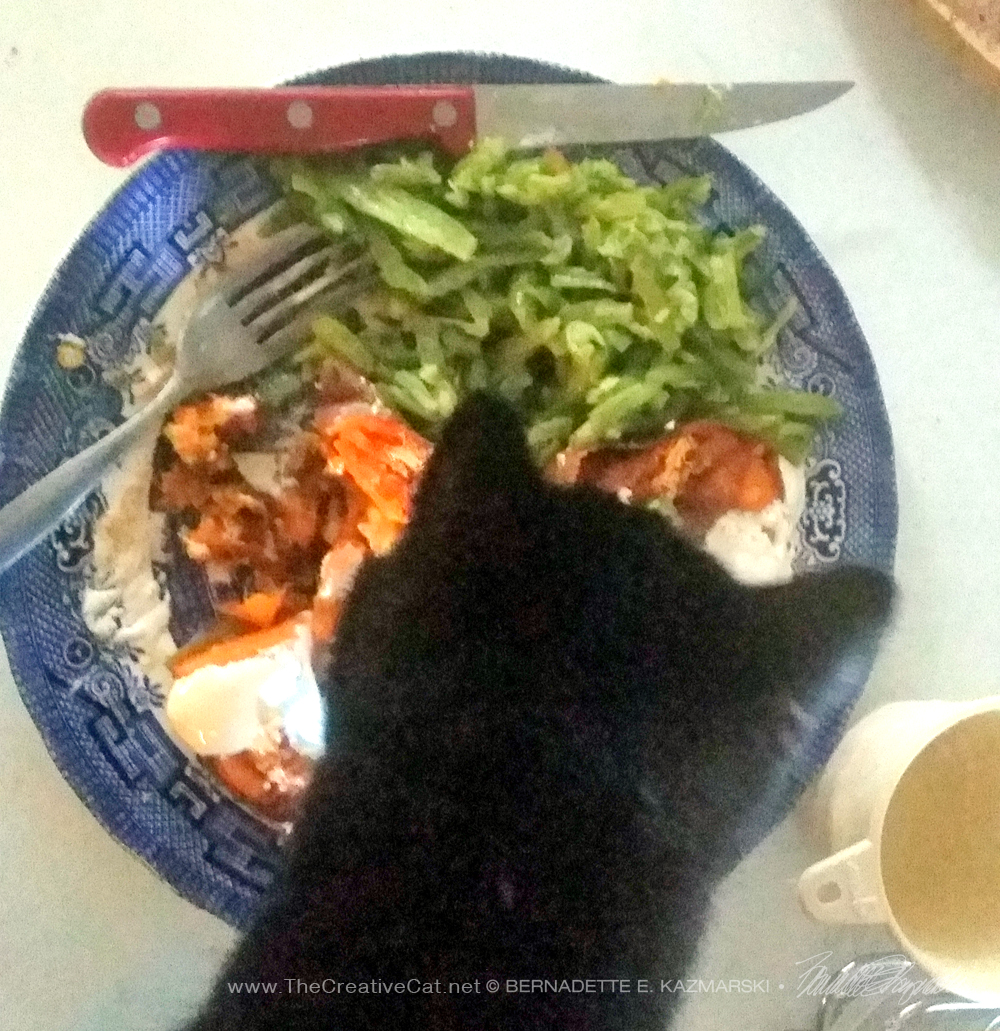 black cat with plate