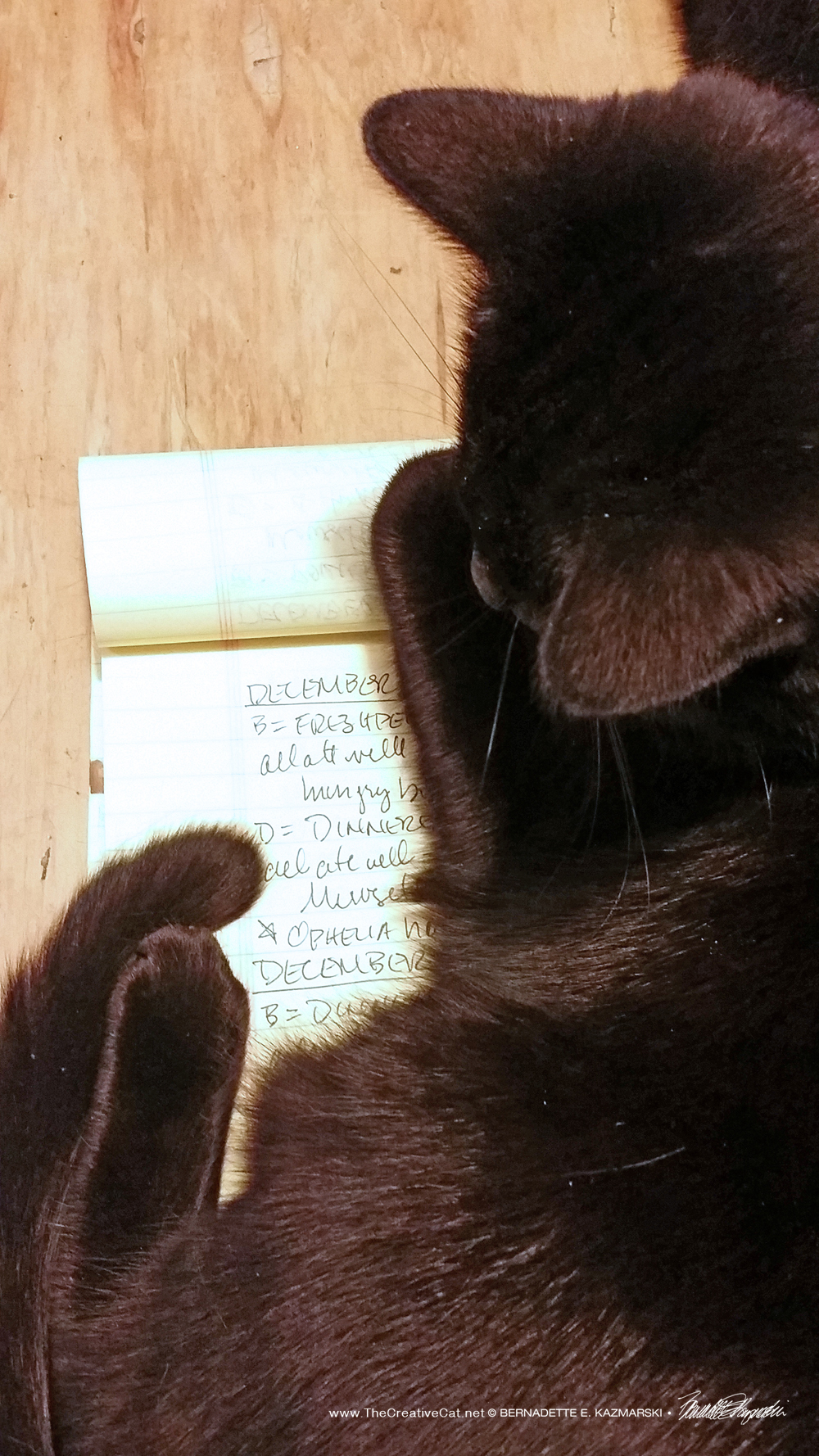 Bella decided she was supposed to rest on my tablet as I took notes, so I had to stop.