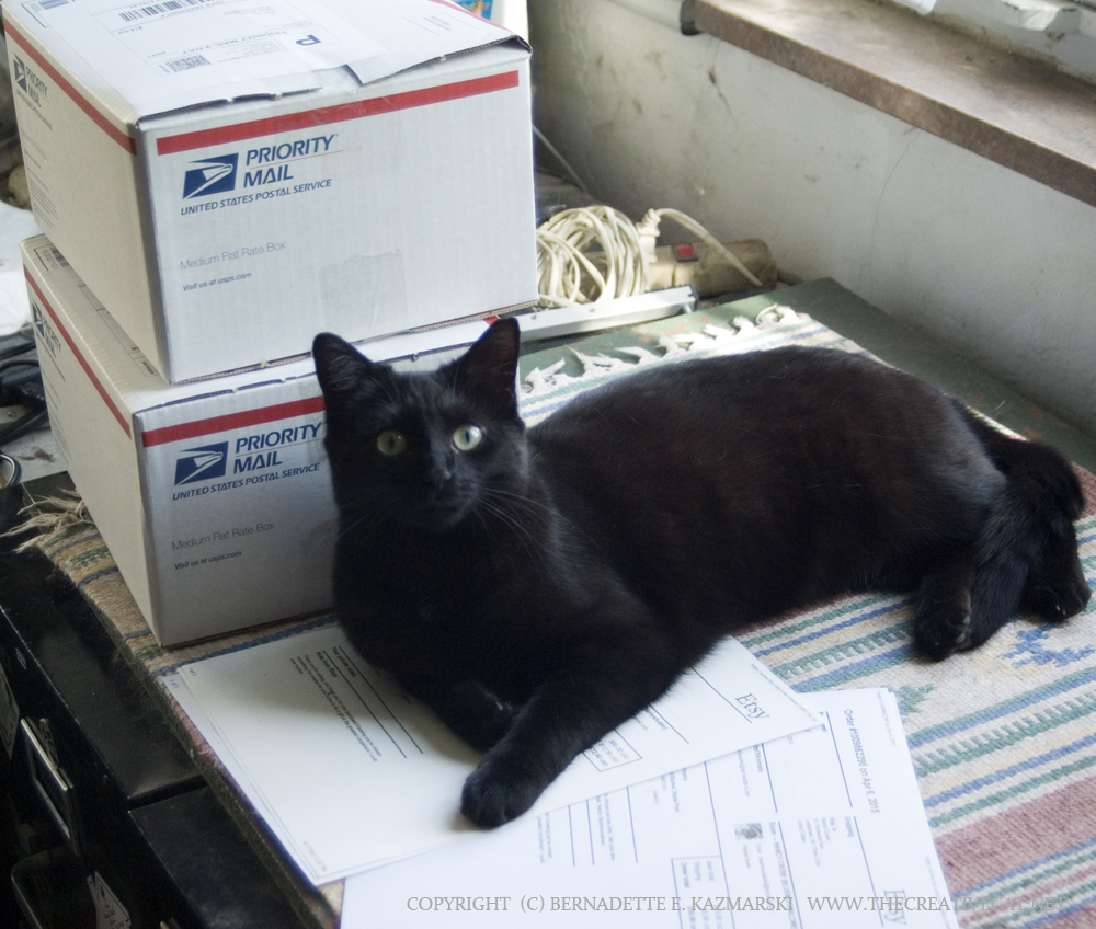 Bella organizes the paperwork. Bella is very organized. She's kind of a type A kitty, if there is such a thing.