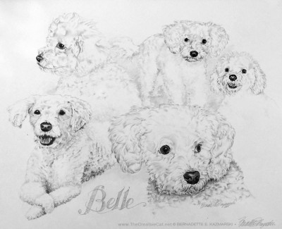 “Belle”, pencil on illustration board, 22″ x 28″, 2001 © Bernadette E. Kazmarski