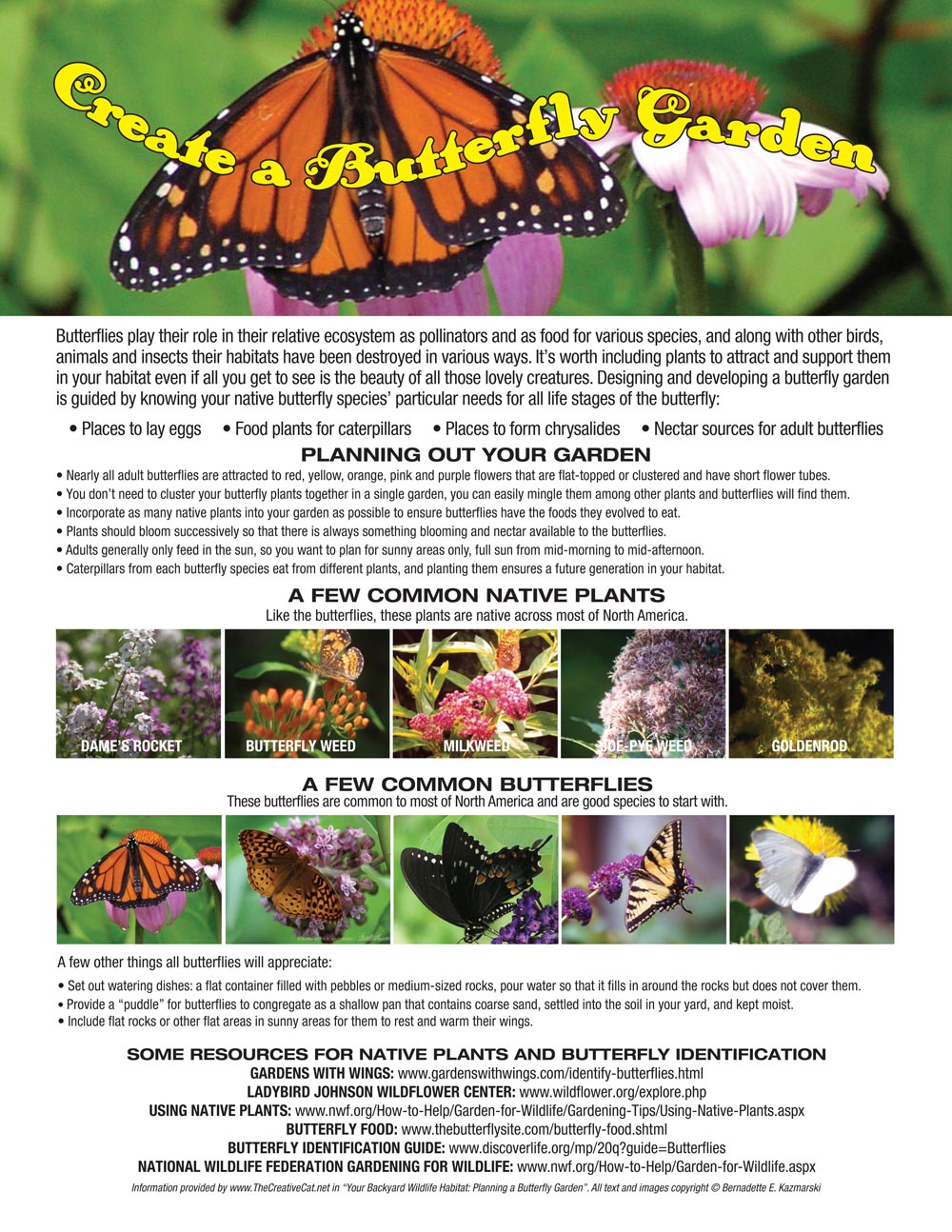 Planning Your Butterfly Garden