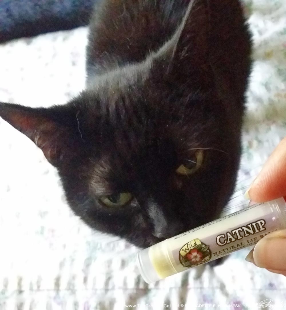 Mimi gets a good whiff of the catnip lip balm.