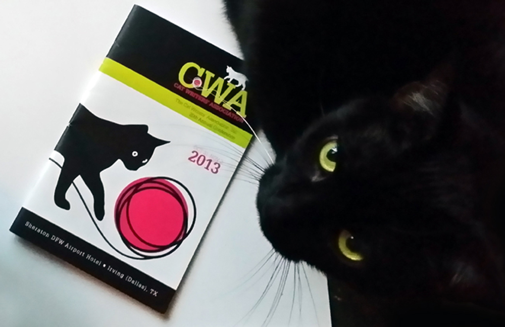 black cat and cwa program
