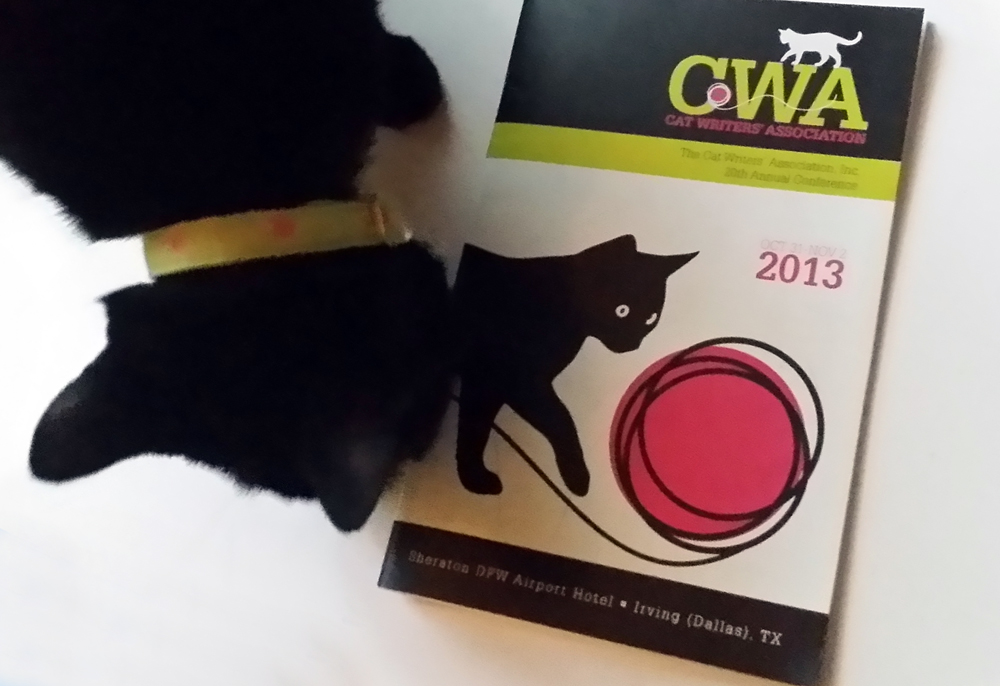 black cat and cwa program