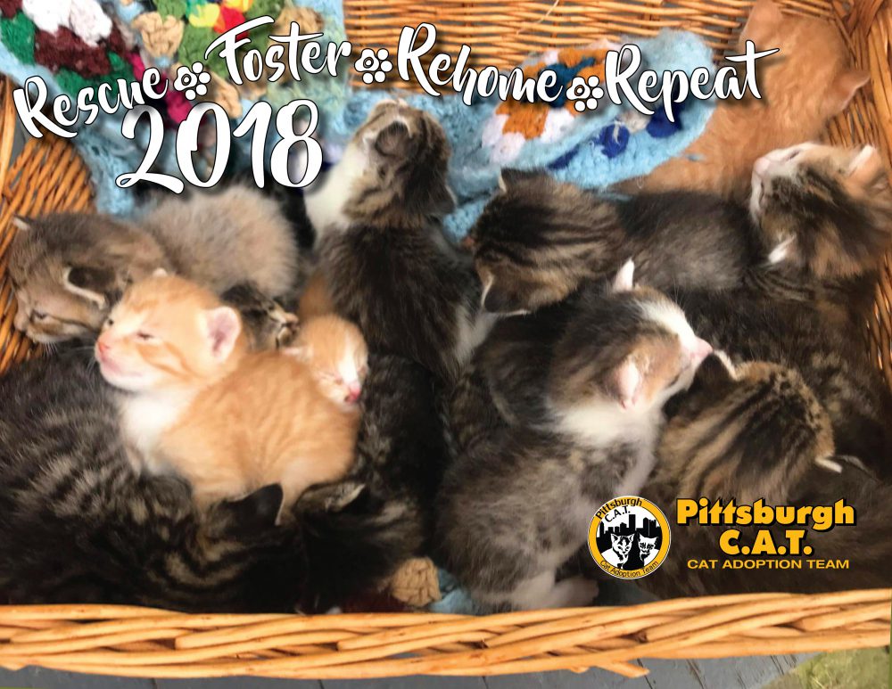 Pittsburgh CAT Calendar cover.