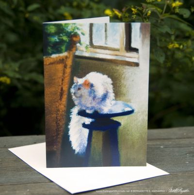 White Cat Reflecting Feline Fine Art Card