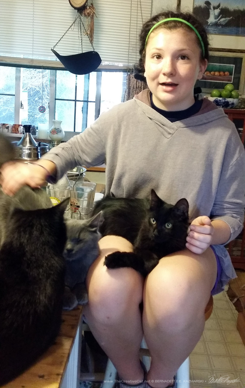 Cassidy has more cats to pet than she has hands.