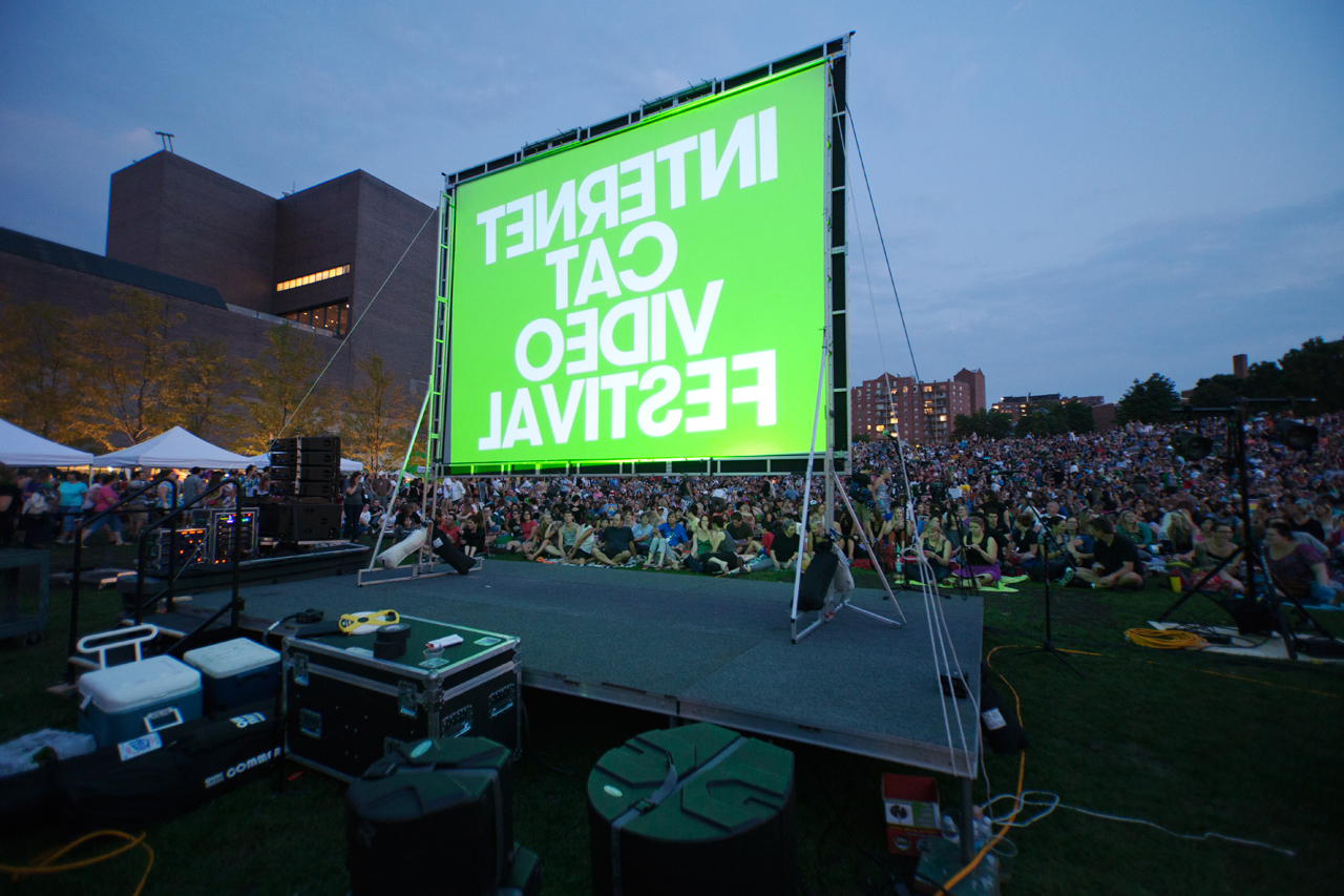 10,000 people watching the big screen (from the back) at the 2012 Cat Video Festival at Walker Art Center in Milwaukee.