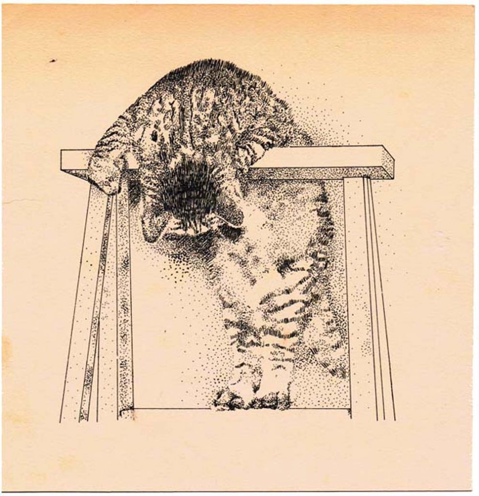 ink sketch of cat on ladder