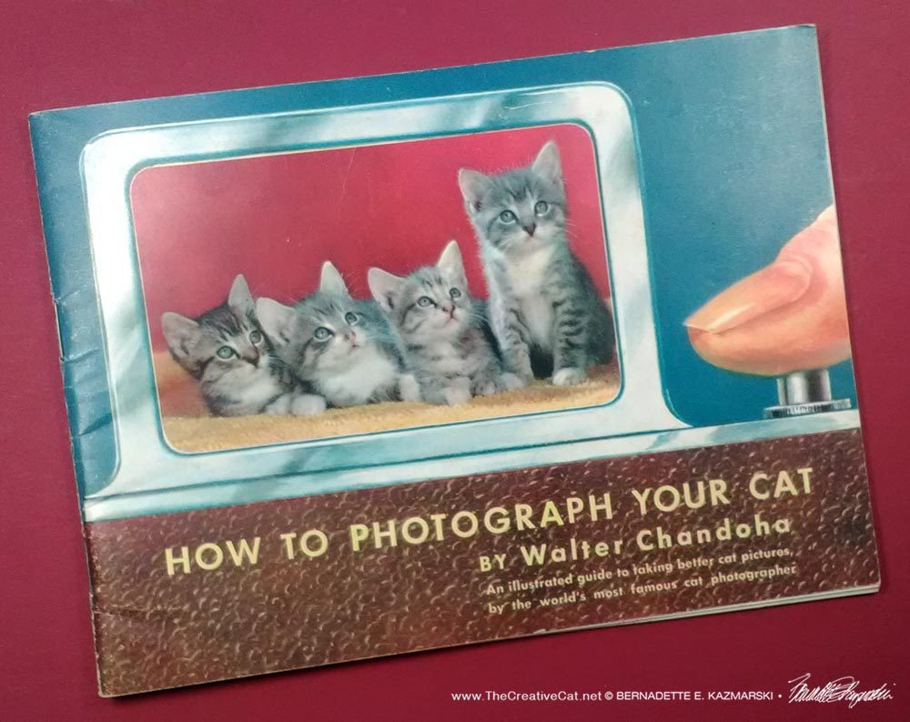 How to Photograph Your Cat by Walter Chandoha