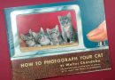 How to Photograph Your Cat by Walter Chandoha