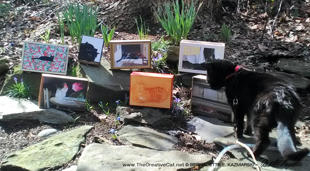 black cat with keepsake boxes