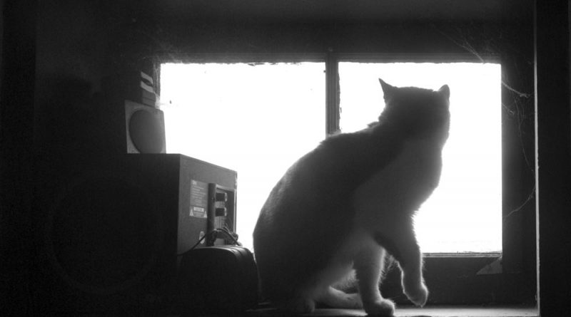 Cleetus at the window.