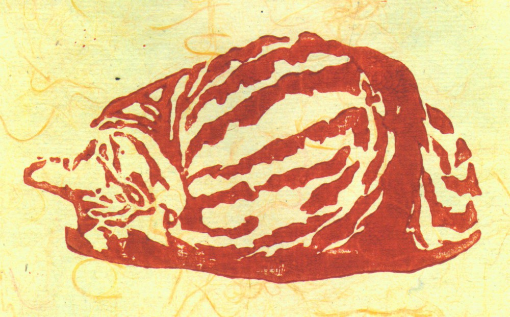 block print of curled cat