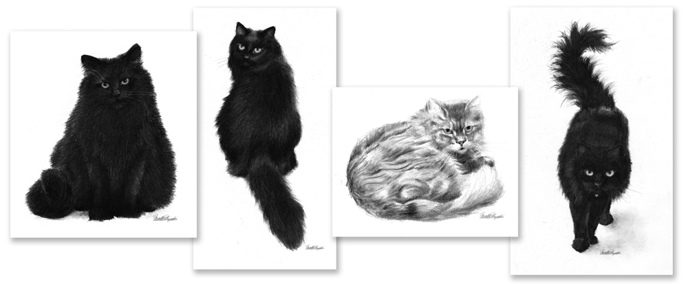 Composite of all four sketches.