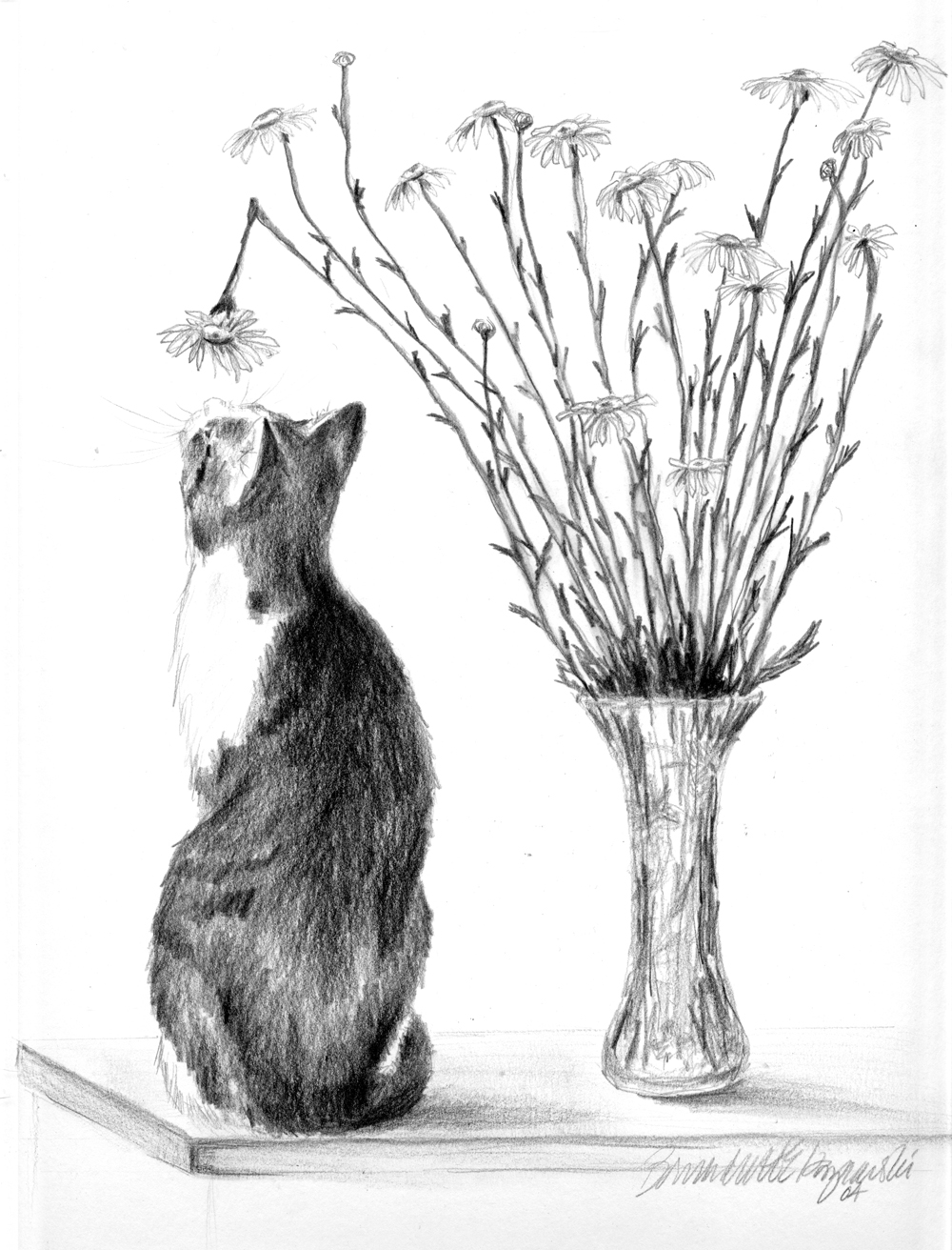 "Conversation With a Daisy", pencil on cream cotton paper, 9" x 12", 2004 © B.E. Kazmarski