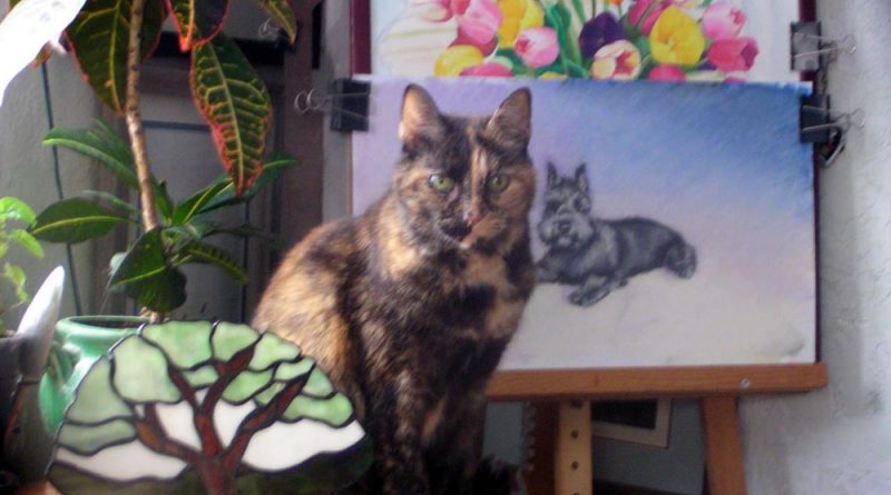 tortoiseshell cat with artwork and plants