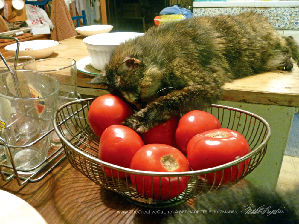 June-Tomato for Your Pillow