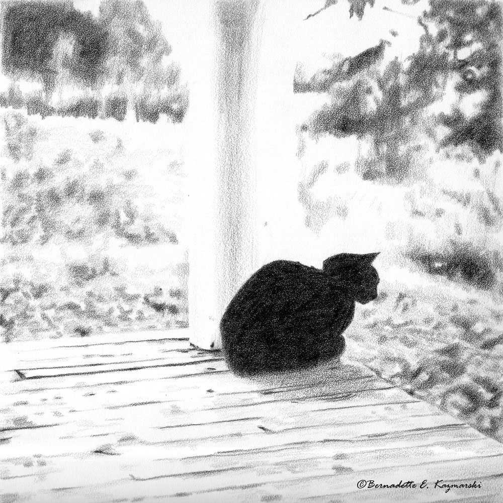 sketch of black cat on porch