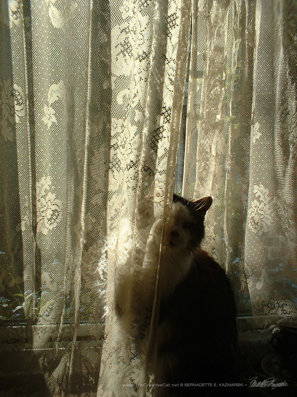 Sophie peeking around the curtain #1