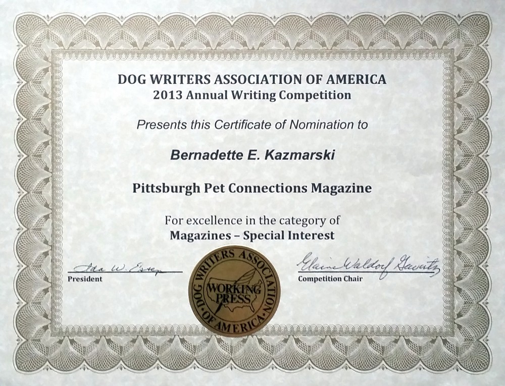 DWAA Certificate of Excellence for Regional Magazine