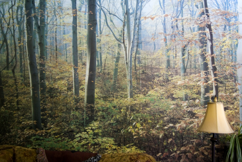 mural of path through woods.