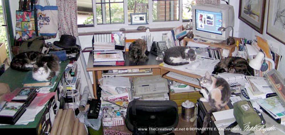 Desk with six cats, taken in 2006, but typical of my desk at any given time.