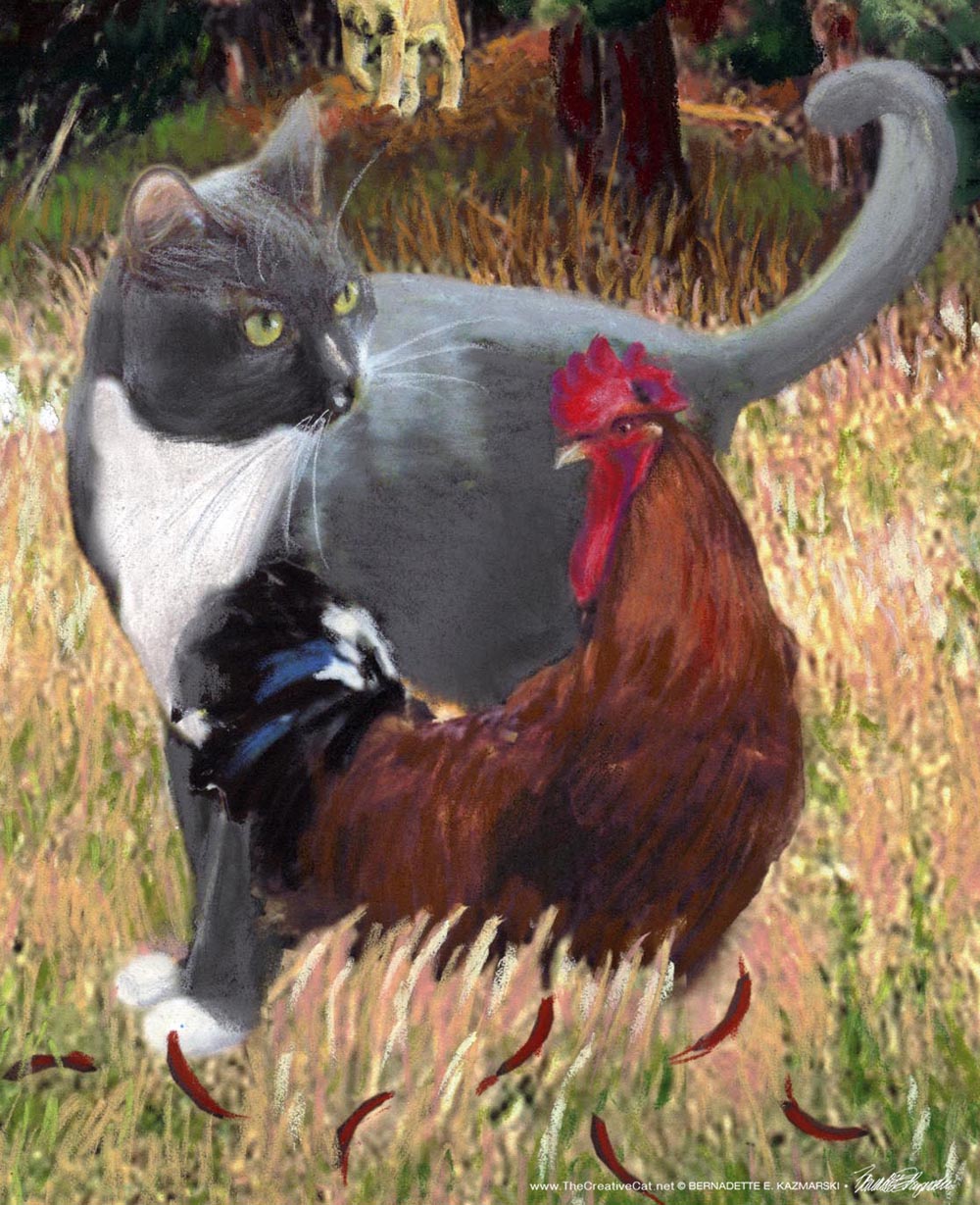 cat and chicken