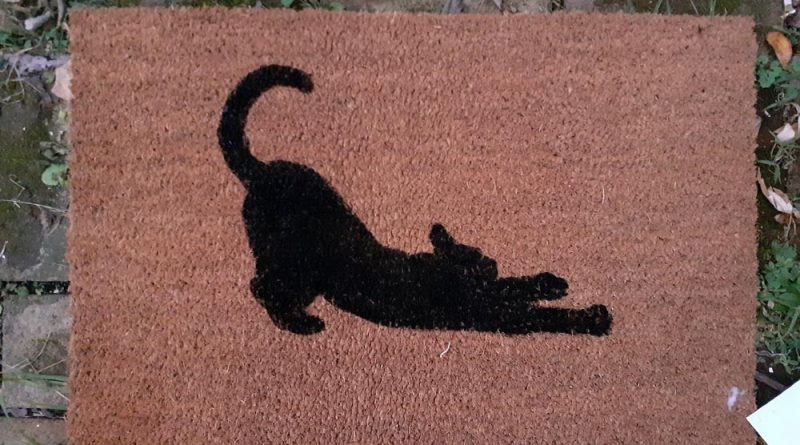 cat design doormat