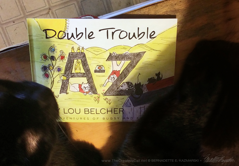 "Double Trouble A Thru Z" by Lou Belcher