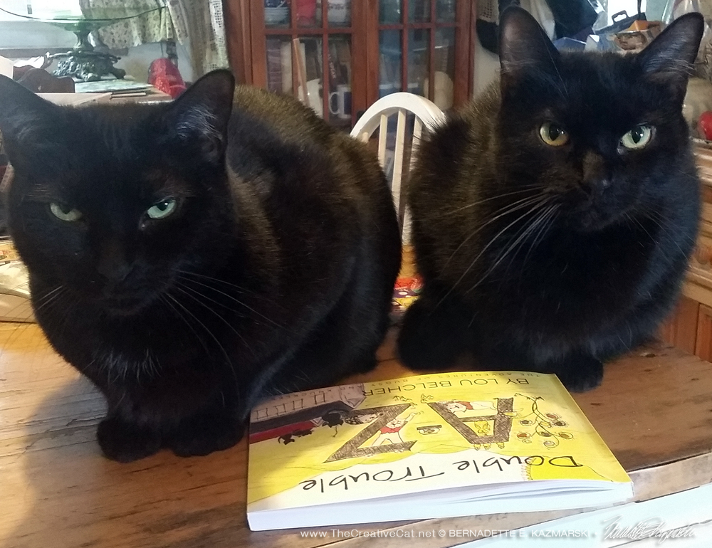 My boys want to know when they will get their book.