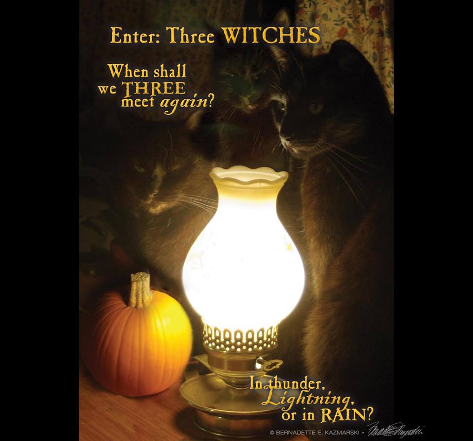 THREE BLACK CATS WITH LAMP AND PUMPKIN