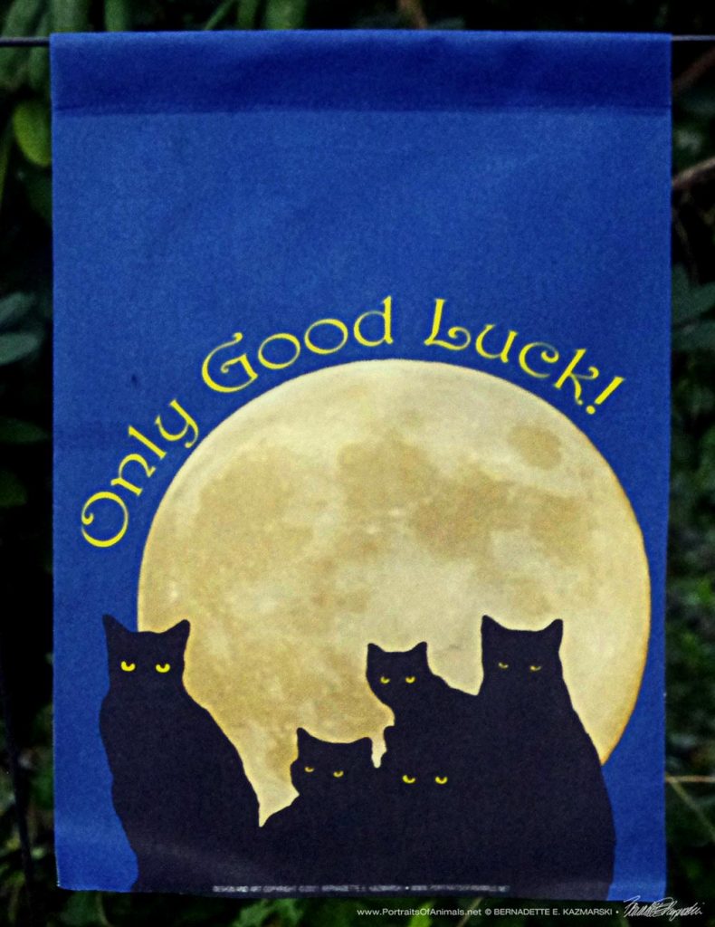 Only Good Luck Black Cats garden flag