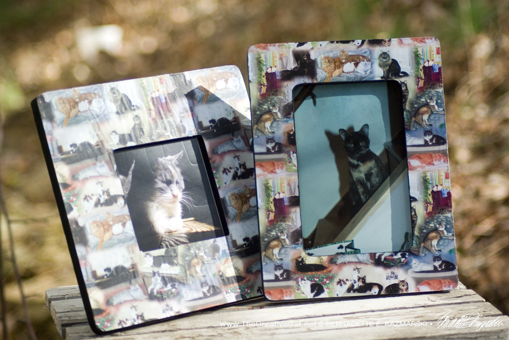 "22 Cats" photo frames.