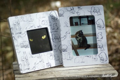 "Brushy Kitties" photo frames.