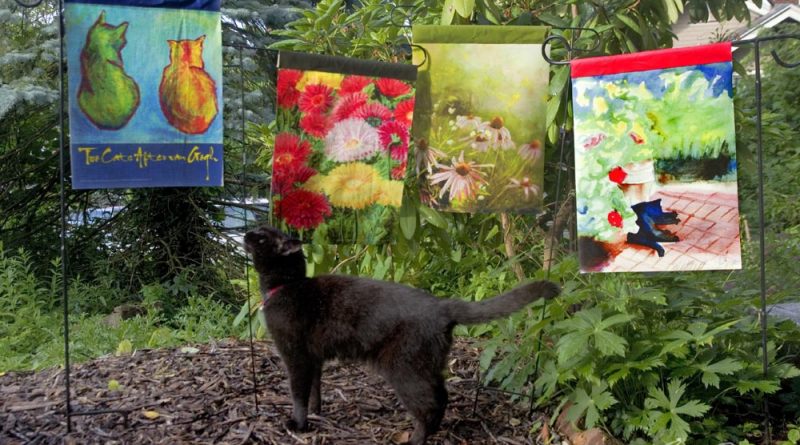black cat with garden flags