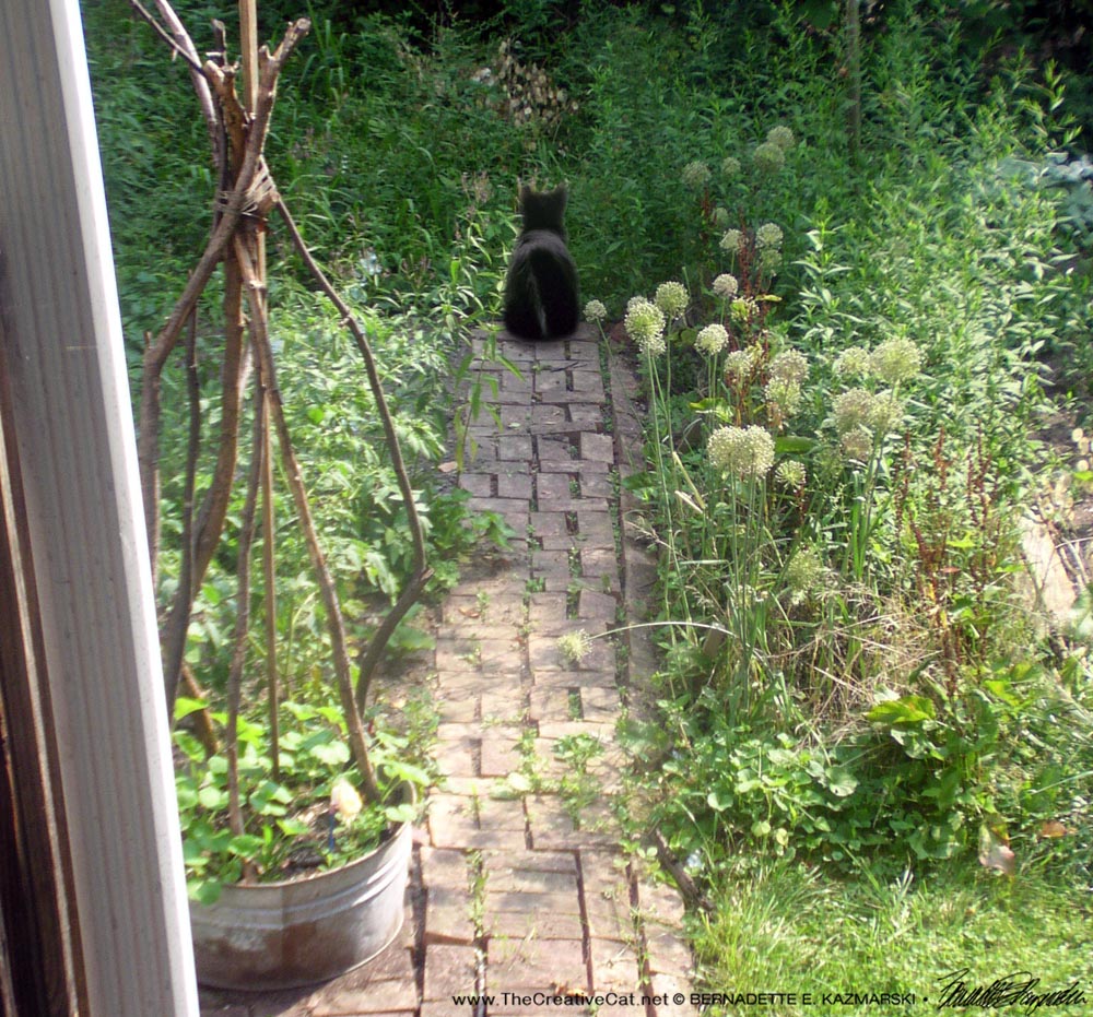 Seeing Mimi in the garden.