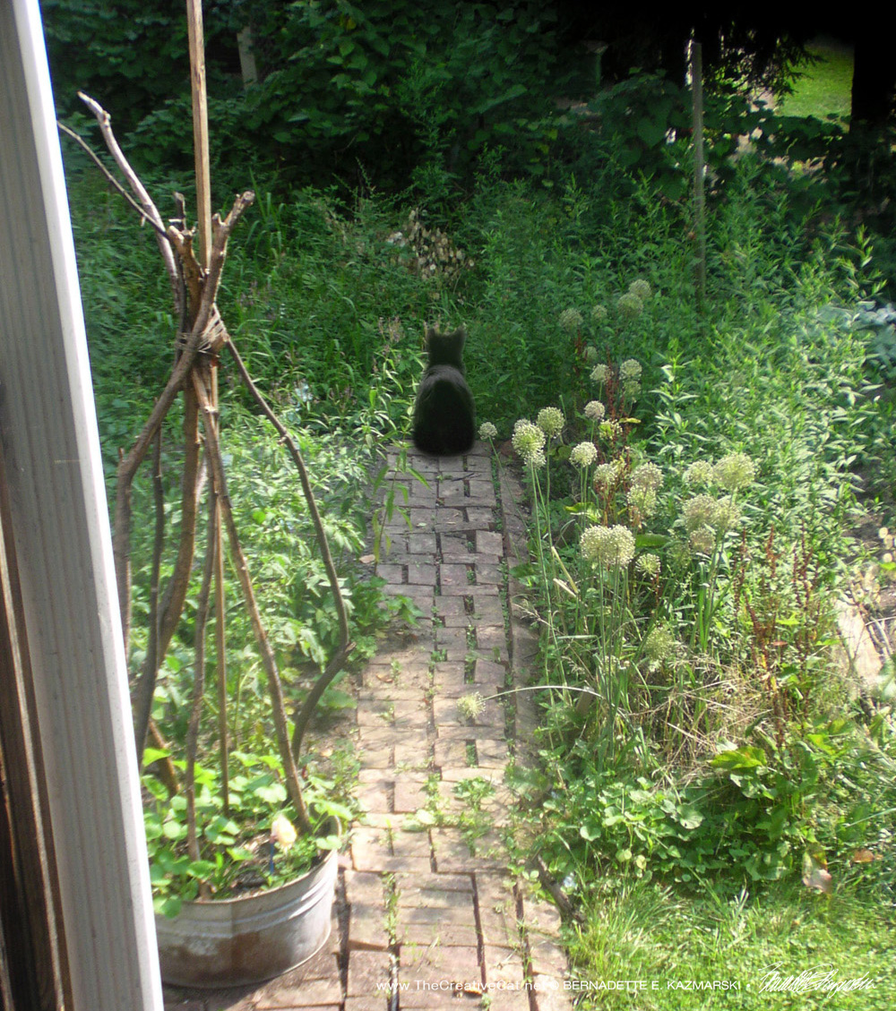 Mimi in the garden.