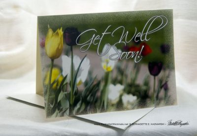 Get Well Soon Inspired by Flowers Greeting Card