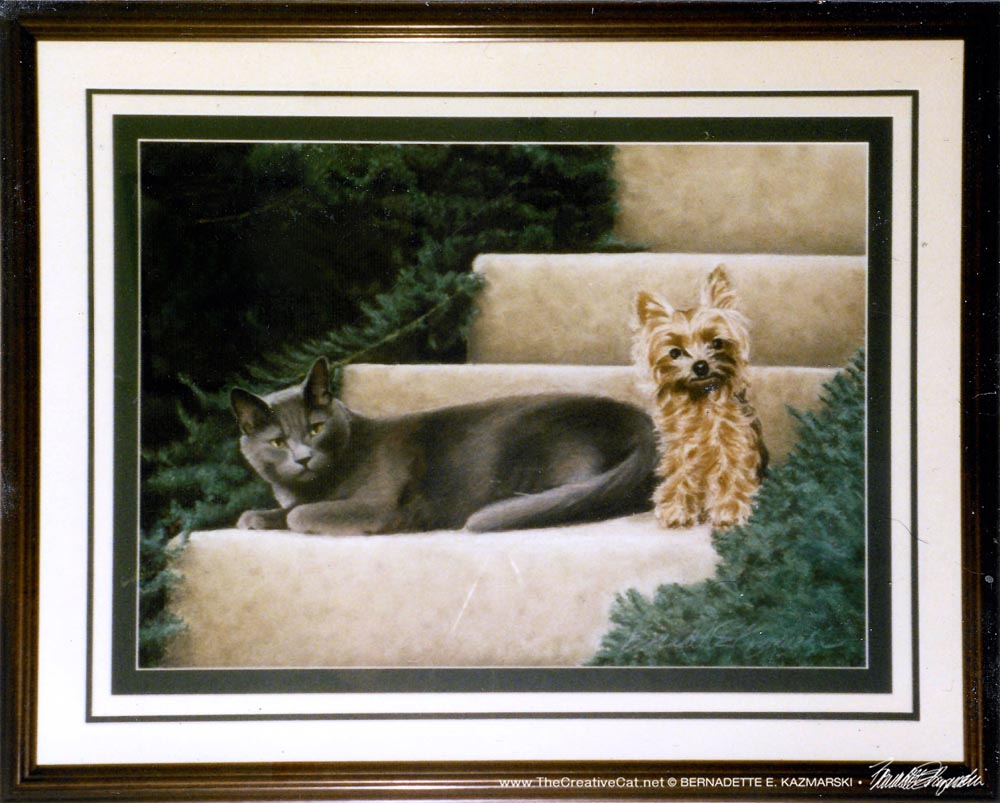 portrait of cat and dog