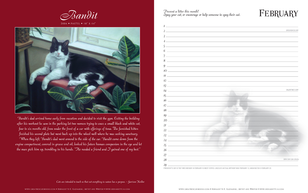cat portrait, story and calendar page