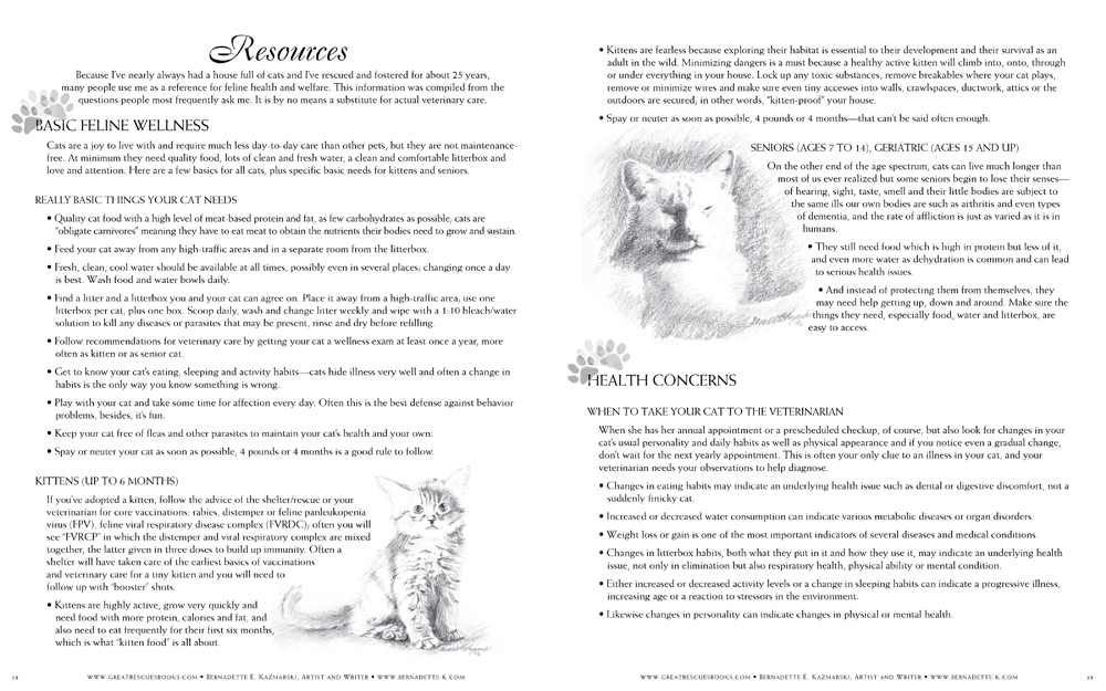 Resources pages in "Great Rescues Day Book"