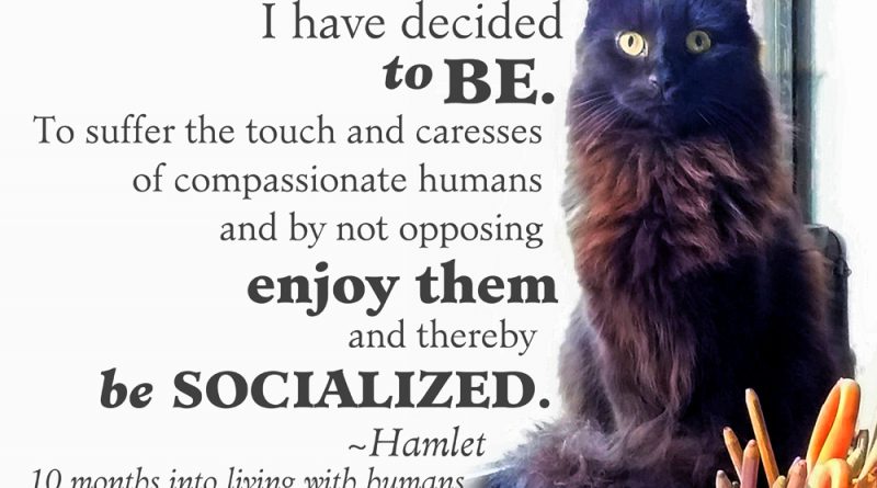 Hamlet has decided "to be".