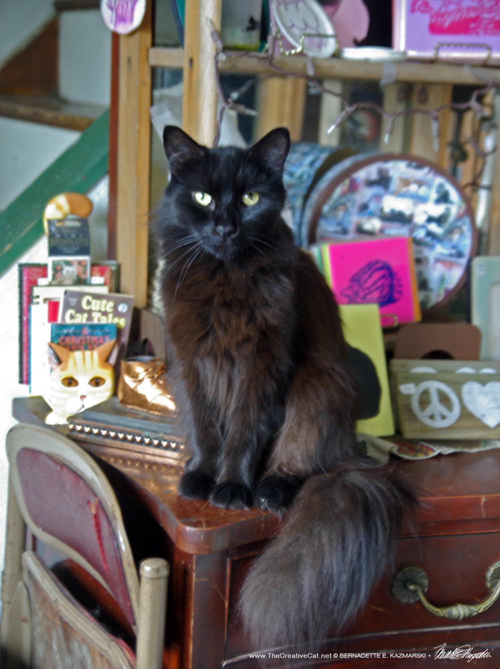Hamlet welcomes you to Black Cat Friday