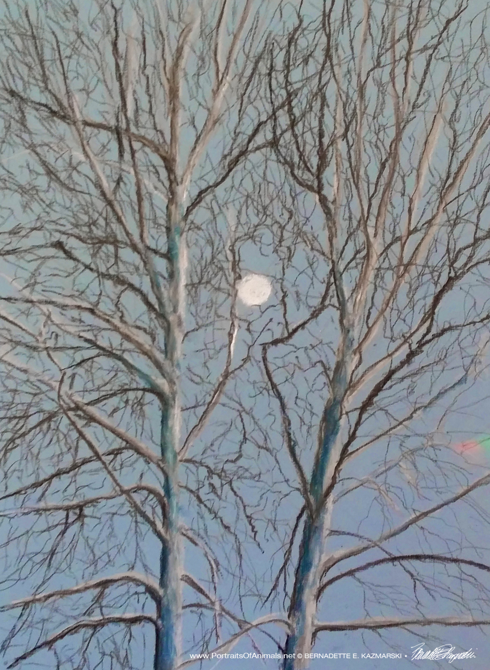 "Sycamore Moon", pastel, 14" x 20" © Bernadette E. Kazmarski