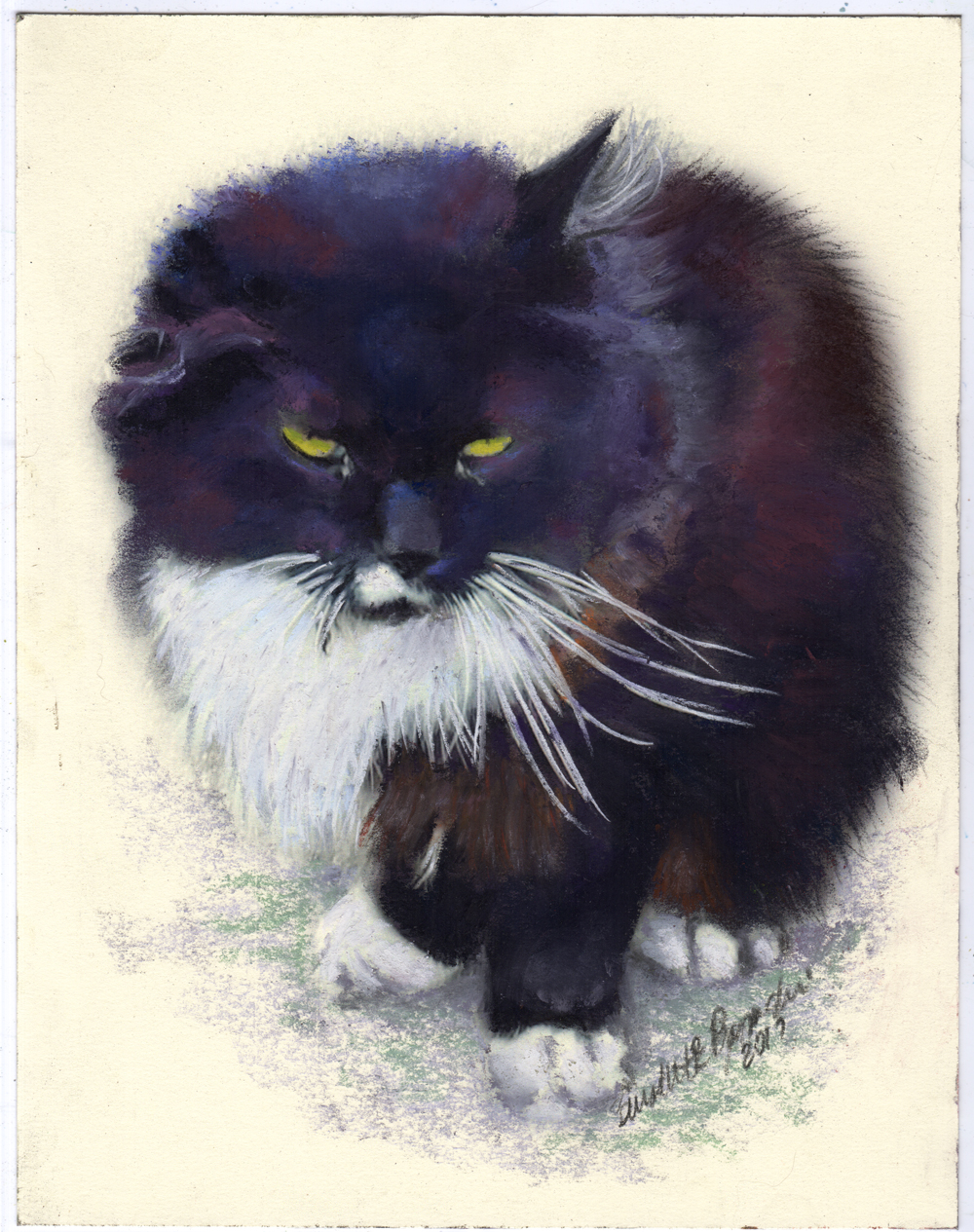 "Henry", pastel on smooth cream cotton board, uncropped.