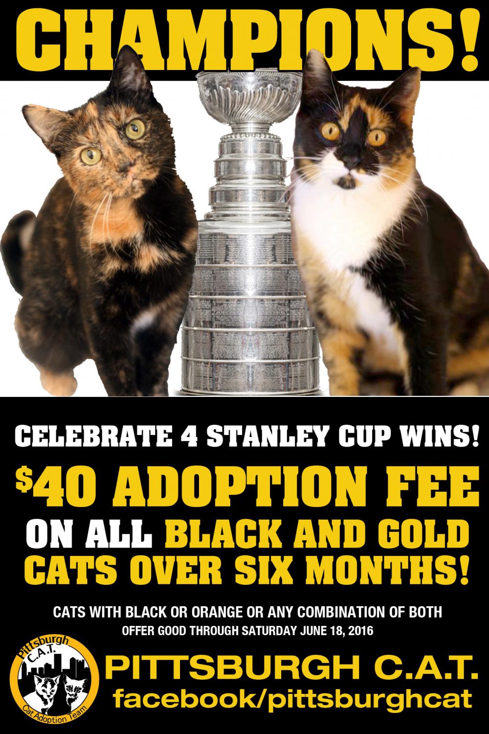Pittsburgh C.A.T. Stanley Cup Special!
